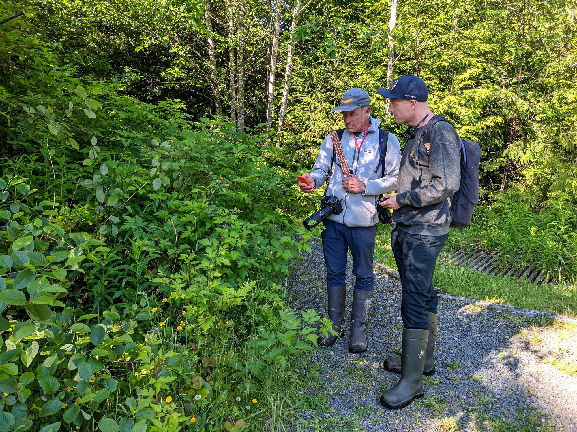People in nature, Plant community, Natural landscape, Vegetation, Tree